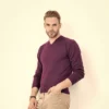 Men Solid Round Neck Pure Cotton Purple T-Shirt